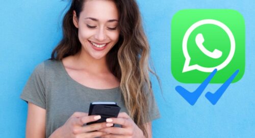 Read WhatsApp Message without Blue Tick