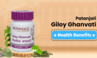 Giloy Ghanvati The Health Benefits of the Ayurvedic Wonder